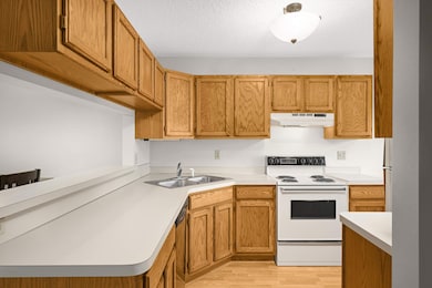 7486 Vinewood Ct unit 7486, Osseo, MN 55311 - photo 5