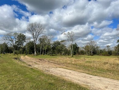 0 Bellini Rd, Manvel, TX 77578 - photo 5