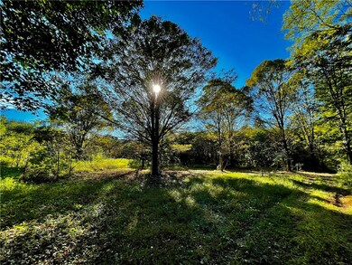 00 Tree Farm Rd, Walhalla, SC 29691 - photo 5