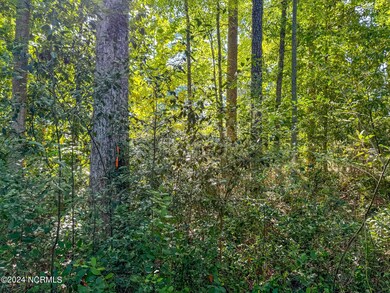 IMG_2962