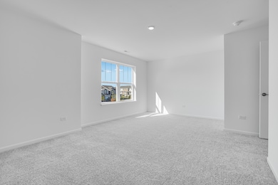 12217 Dodwell St, Huntley, IL 60142 - photo 7