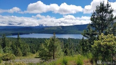 1320 Breckenridge Rd, Ronald, WA 98940 - photo 3