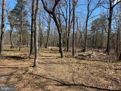 0 Fork Bridge Rd unit NJSA2003626, Elmer, NJ 08318 - photo 2