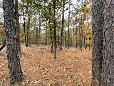 Unit 156 Rd, Moyers, OK 74523 - photo 7