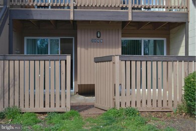 3869 El Camino Place unit 9, Alexandria, VA 22309 - photo 5