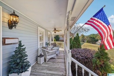 6038 Springview Dr, Mount Olive, AL 35117 - photo 5