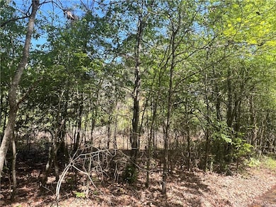 0 Nation Rd, Deville, LA 71328 - photo 4