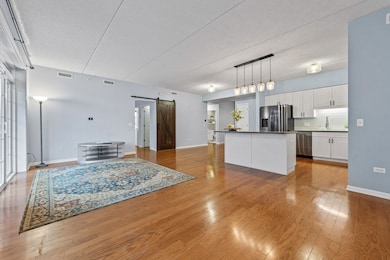 133 W Palatine Rd unit 108A, Palatine, IL 60067 - photo 5