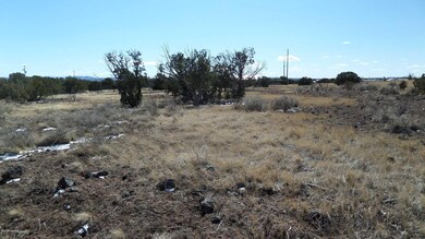 Bobcat lots