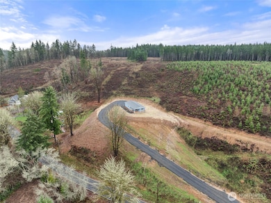 1655 Ferrier Rd, Winlock, WA 98596 - photo 6