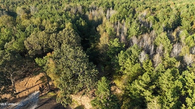 8 Tyro Branch Cove, Senatobia, MS 38668 - photo 2