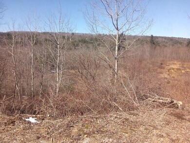 46 Madden Rd unit 11, West Brookfield, MA 01585 - photo 2