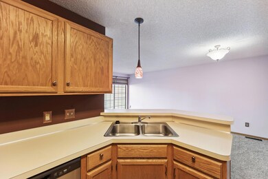 12802 Echo Ln unit 112, Saint Paul, MN 55124 - photo 7