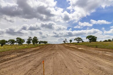 190 Jupiter Trail, Weatherford, TX 76088 - photo 7