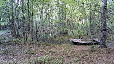 Lot 22 Airport Rd (Pca), Rockwood, TN 37854 - photo 5