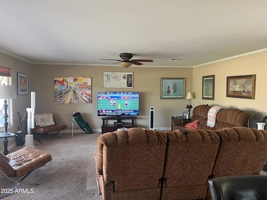 2528 N 48th Place, Phoenix, AZ 85008 - photo 5