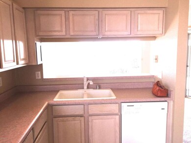 Kitchen sink area