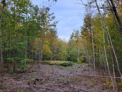 15 A-2 Lovell Rd, Sweden, ME 04040 - photo 7