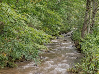 9999 Green Leaf Rd unit Tract A, Burnsville, NC 28714 - photo 3