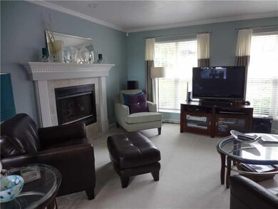 Family Room. Wall to wall carpeting and a beautifu
