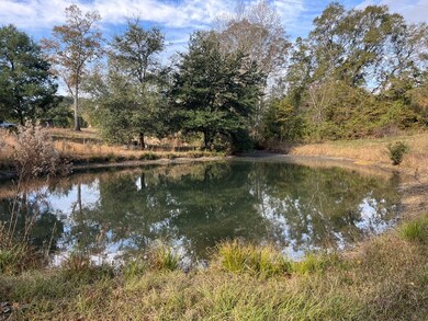 13962 State Highway 95 N, Abbeville, AL 36310 - photo 4