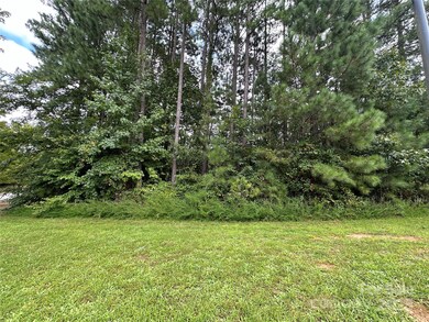 206 Streamwood Rd unit 32, Troutman, NC 28166 - photo 4