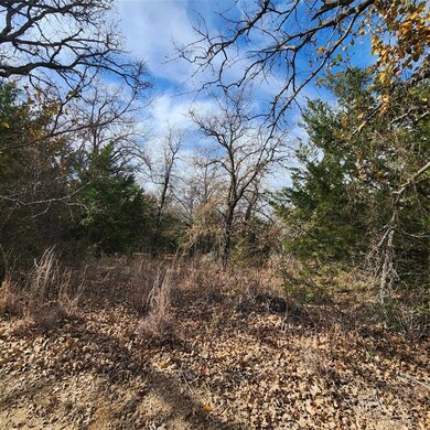 TBD Cr 2395, Alvord, TX 76225 - photo 3