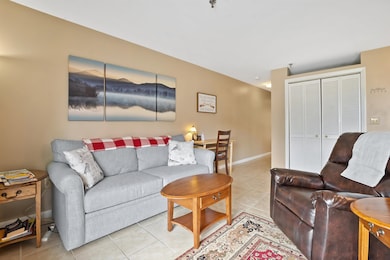 131 Lake St unit 214, Gilford, NH 03249 - photo 6