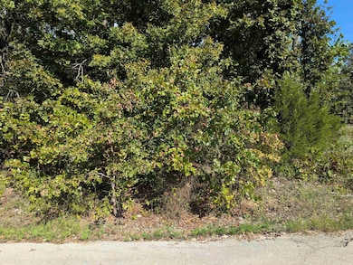 L20,21,22 B6 Lakota Trace, Cherokee Village, AR 72529 - photo 3