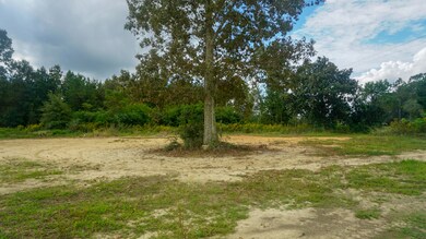 20 Ac Hwy 63 - S, Lucedale, MS 39452 - photo 2