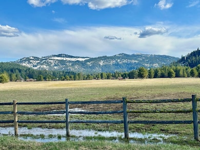 14 Smiths Ferry Dr unit 61, Parcel 2, Cascade, ID 83611 - photo 3