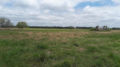 Lot 304 SE Private Road #3178, Corsicana, TX 75109 - photo 4