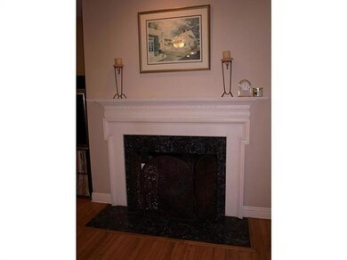 Other. Fireplace