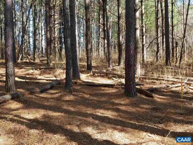 Lot 27 Guildford Farm Rd, Monroe, VA 22968 - photo 3