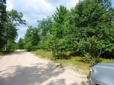 2750 W 14 Mile Rd unit Parcel C, Lilley Township, MI 49309 - photo 3