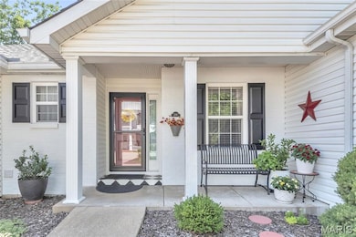 295 Lower St, Augusta, MO 63332 - photo 2