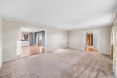 510 Kelsey Rd, San Antonio, TX 78223 - photo 7