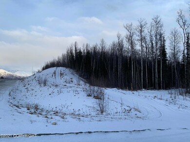 IMG-7244
