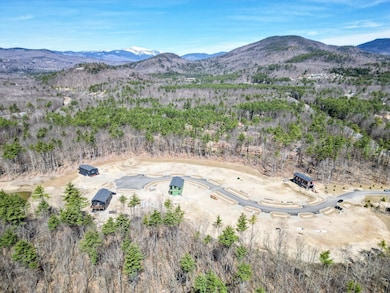 20 Hidden Glade Dr unit 18, Bartlett, NH 03845 - photo 3