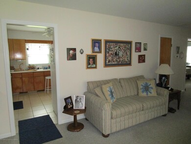 523 Hamilton Ave, Lansing, MI 48910 - photo 4