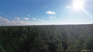 3882 W Fireside Ln, Citrus Springs, FL 34433 - photo 6