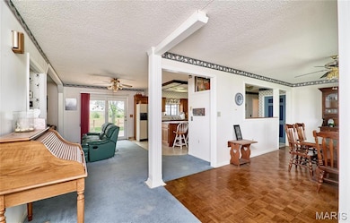 339 White Rd, Hawk Point, MO 63349 - photo 7