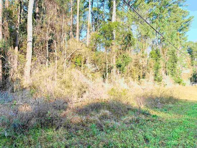 1739 Colonial St unit Colonial Estates, Georgetown, SC 29440 - photo 4