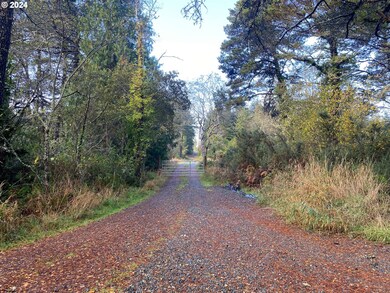 0 Bill Creek Ln unit 24350870, Bandon, OR 97411 - photo 5