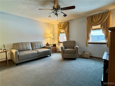 Roomy LR with ceiling fan