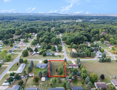 VL W Roosevelt Rd, Hamlin Township, MI 49431 - photo 3