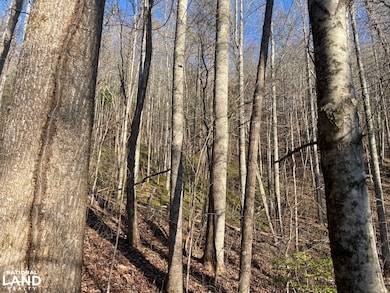 00 Early Deitz Rd, Sylva, NC 28779 - photo 7