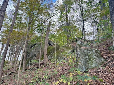 50 Sweet Grape Run Rd, Walton, WV 25286 - photo 5