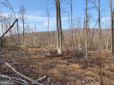 1738 Mount Laurel Rd, Temple, PA 19560 - photo 5