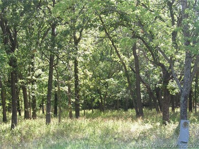 View of heavily wooded lot.